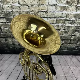 041219041219 ACCENT Double French Horn #3