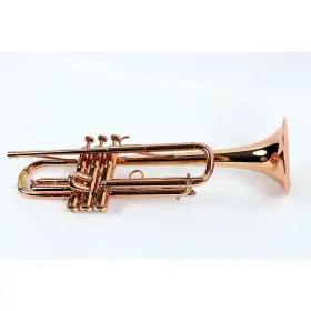 USED006004 ADAMS Selected Trumpet Copper