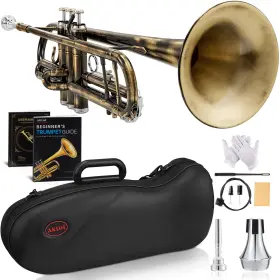 Trumpet AKLOT Antique Phosphor Monel Valves Double