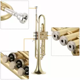 EZM2452929737365YF AMMOON Trumpet Flat Exquisite Musical #2