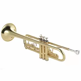 EZM2452929737365YF AMMOON Trumpet Flat Exquisite Musical #3