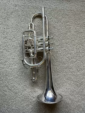 803478 ANDREAS EASTMAN Student Cornet