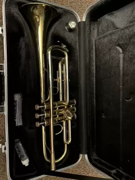 YTR2330 ANDREAS EASTMAN Trumpet Valve Oil Polishing #2