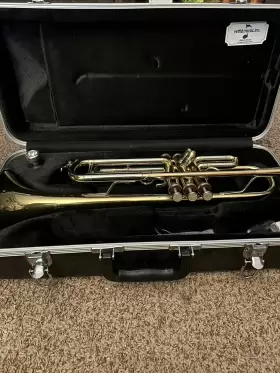 YTR2330 ANDREAS EASTMAN Trumpet Valve Oil Polishing