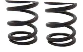 HU-XI-58 ARC RACING Pack Valve Springs