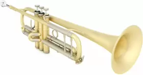 BS31782-3-0D B-S Challenger Trumpet Elaboration Finish