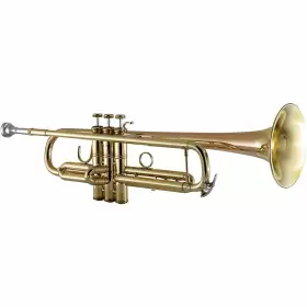 17043GYR BACH Apollo Trumpet #2