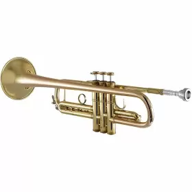 17043GYR BACH Apollo Trumpet #3