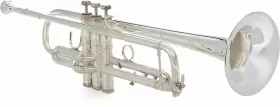 170S43GYR BACH Trumpet Reverse Leadpipe