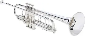 180S37W2 BACH Stradivarius Trumpet Mouthpiece