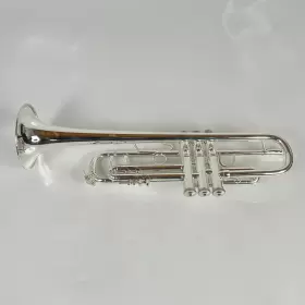 210000033699 BACH Demo Trumpet #3