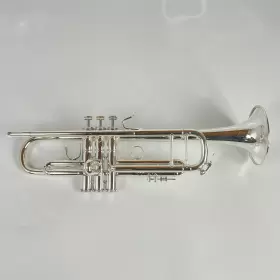 210000033699 BACH Demo Trumpet