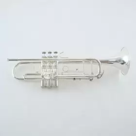 BTR311S BACH Student Trumpet Gorgeous #2