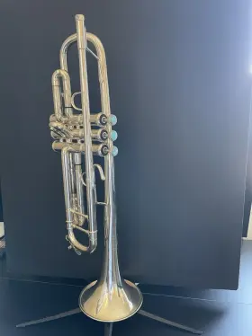 STRADIVARIUSMODEL37 BACH Stradivarius Torpedo Bag Mutes