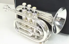AL511898 BANDNOW Pocket Trumpet Mouthpiece