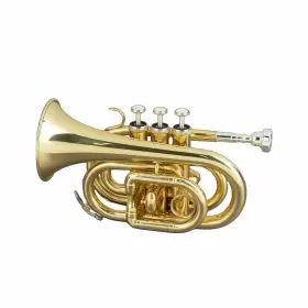BAPKTR50X BENJAMIN ADAMS Pocket Trumpet Outfit #2