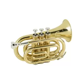 BAPKTR50X BENJAMIN ADAMS Pocket Trumpet Outfit