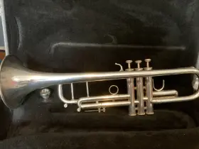 585137 BLESSING Trumpet