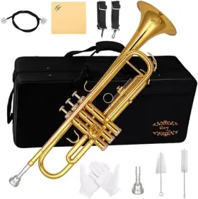 711181695991 GOLD Coloreado Trompeta Para Venta Estuche Tono