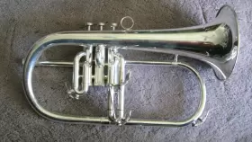 850SS BRASSPHIRE Flugelhorn #2