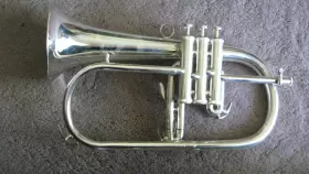 850SS BRASSPHIRE Flugelhorn