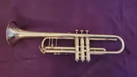 216254 BUESCHER Tone Trumpet #3