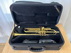 131111 CAROL Carolbrass Trumpet Finish #2