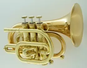 210000017734 CAROL BRASS Pocket Trumpet