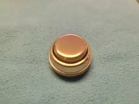 210000027832 CAROL BRASS Trumpet Horns Kit #2