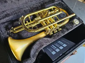 CCR-3880-GSS CAROL Cornet Finish #2
