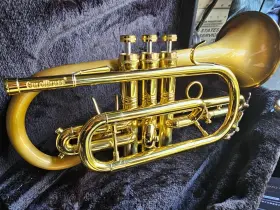 CCR-3880-GSS CAROL Cornet Finish