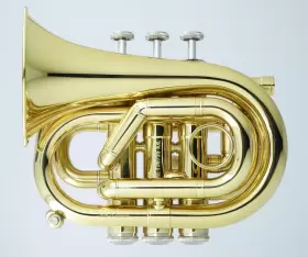CPT-1000-YSS-BB-L CAROL Mini Pocket Trumpet #2