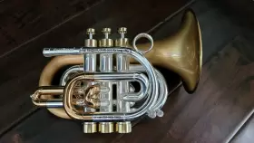CPT-9392-RLM CAROLBRASS Bc Bill Colletti Pocket Lacquerd #2