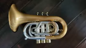 CPT-9392-RLM CAROLBRASS Bc Bill Colletti Pocket Lacquerd #3