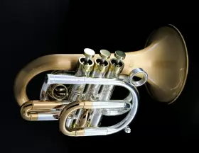 CPT-9392-RLM CAROLBRASS Bc Bill Colletti Pocket Lacquerd