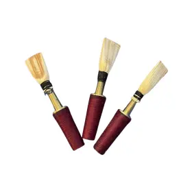 Prm-zrna-abg CORSARO MUSIC Mouthpiece Reed Zurnas Set