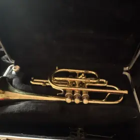 201409 DIRECTOR Cornet Lacquered Piston