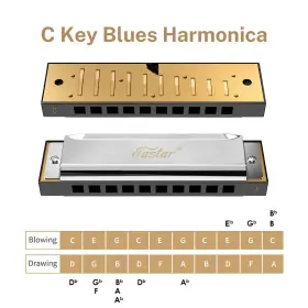 EB149 EASTAR Blues Diatonic Harmonica Set Key School #3
