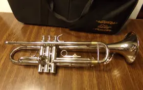 ETR-390 EASTER Musical Trumpet