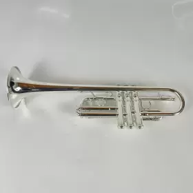 210000034617 EASTMAN Demo Trumpet #3