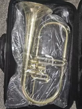 EFG412 EASTMAN Student Flugelhorn #2