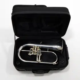 EFG512GS EASTMAN Intermediate Flugelhorn Box