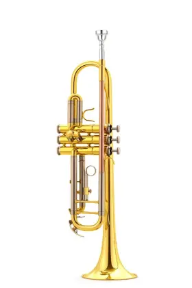 TR-2130-U ELDON Antigua Trumpet Mouthpiece Finish