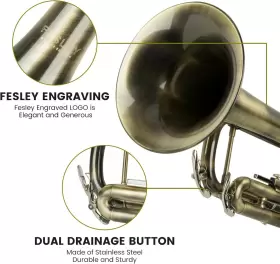 692621828677 FESLEY Standard Trumpet Set School #2