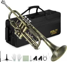 692621828677 FESLEY Standard Trumpet Set School