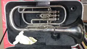 24111N FEVER Jimbao Standard Alto Horn