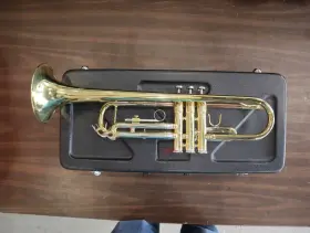 FTP331 FIDELIS Trumpet Mouth #2