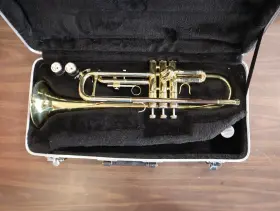 FTP331 FIDELIS Trumpet Mouth #3