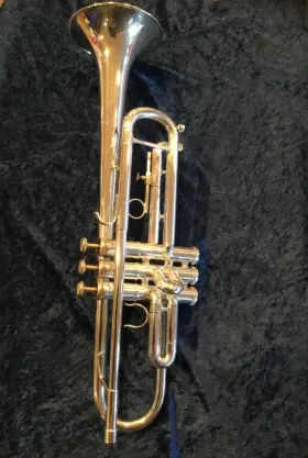 G01535 GETZEN Trumpet Protec