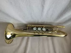MODEL-508 GETZEN Capri Cornet Lacquered #3